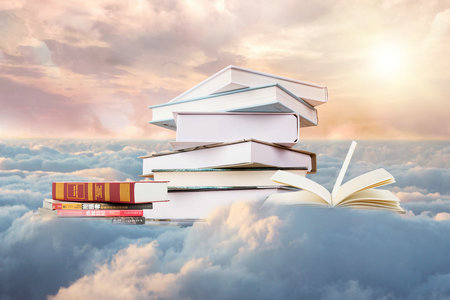 西藏大學MPA報名入口 西藏大學MPA報名入口