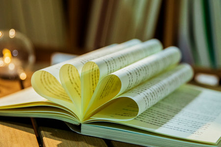 內(nèi)蒙古科技大學(xué)MPAcc報(bào)名入口 內(nèi)蒙古科技大學(xué)MPAcc報(bào)名入口