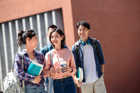 沈陽農業(yè)大學MPAcc報名入口2025年