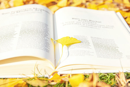 重慶理工大學(xué)非全日制研究生報(bào)名入口 重慶理工大學(xué)非全日制研究生報(bào)名入口