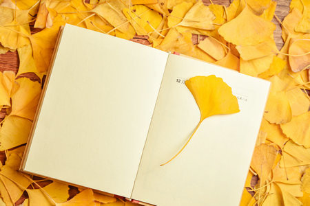 江蘇大學MPAcc報名入口2025年