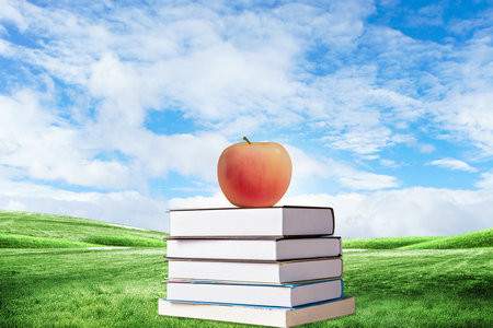 馬來西亞城市大學國際博士報考條件及流程2025年