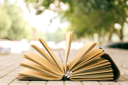 青島科技大學(xué)非全日制研究生報(bào)考條件2025年