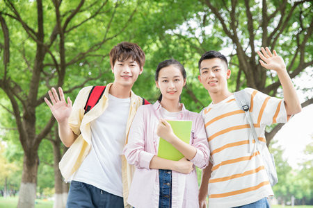 東北農業大學同等學力申碩報考條件2025年