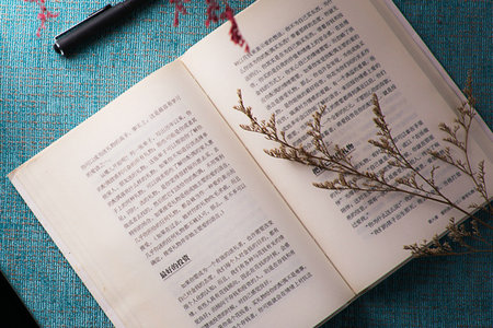 天津財經(jīng)大學(xué)非全日制研究生報考條件 天津財經(jīng)大學(xué)非全日制研究生報考條件