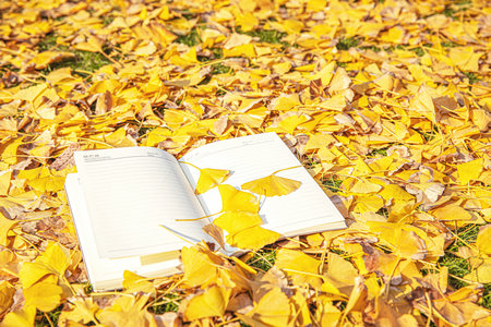 貴州大學MPA報考條件 貴州大學MPA報考條件