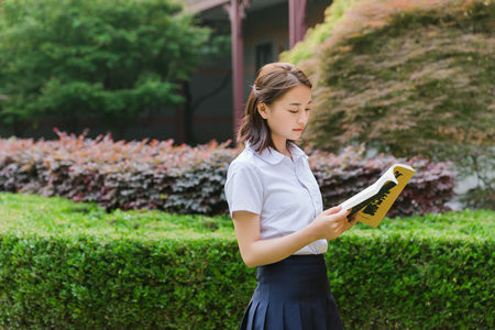 沈陽工業(yè)大學MBA報考條件2025年