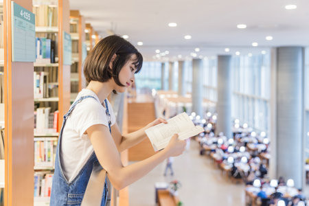 美國紐約理工大學國際博士報考條件及流程2025年