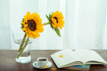 俄羅斯圣彼得堡國立工業(yè)技術(shù)與設(shè)計大學(xué)國際博士報考條件及流程 俄羅斯圣彼得堡國立工業(yè)技術(shù)與設(shè)計大學(xué)國際博士報考條件及流程