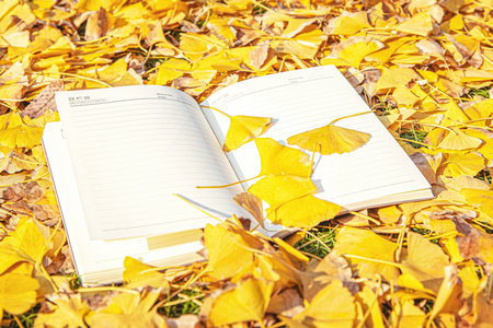 中國計量大學MBA報考條件及流程