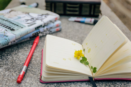 武漢理工大學MBA報考條件及流程 武漢理工大學MBA報考條件及流程