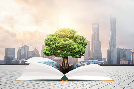 2026美國印第安納大學(xué)國際博士考試考什么科目？