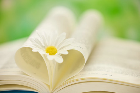 美國卡羅爾大學國際博士考試科目 美國卡羅爾大學國際博士考試科目