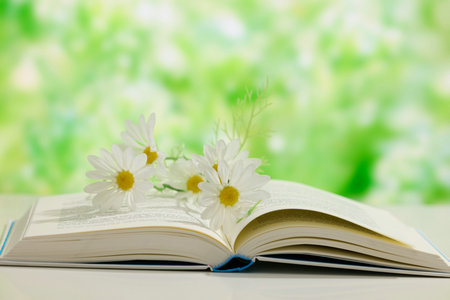 西班牙武康大學國際碩士考試科目