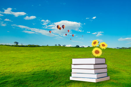 胡安卡洛斯國王大學國際博士考試科目