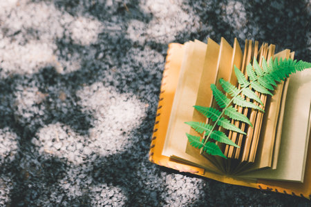 西華師范大學非全日制研究生滿足什么條件才能復試 西華師范大學非全日制研究生滿足什么條件才能復試