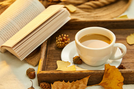 遼寧科技大學MBA復試流程及相關情況簡介