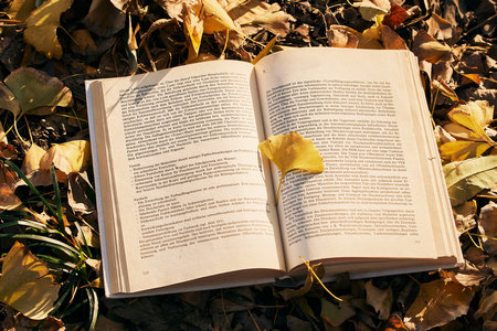 太原理工大學MEM復試 太原理工大學MEM復試