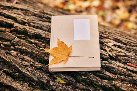 西南民族大學非全日制研究生成績查詢 西南民族大學非全日制研究生成績查詢