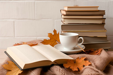 集美大學MPAcc成績怎么查詢?