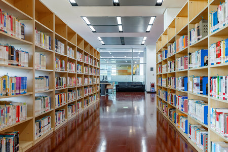 東北林業大學MEM的成績什么時候出