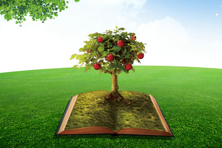 華北理工大學MEM成績什么時候出 華北理工大學MEM成績什么時候出