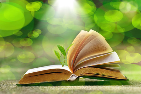 長江大學MEM的成績什么時候出？