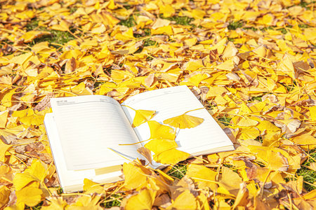 江西財經大學MPA分數線 江西財經大學MPA分數線