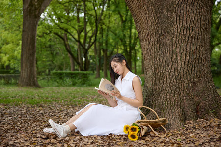 南京信息工程大學MPA分數線什么時候出？