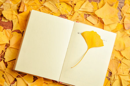 長安大學MBA分數線多少？