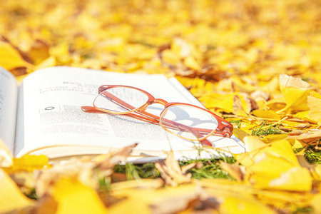 上海理工大學(xué)MEM分數(shù)線什么時候出？