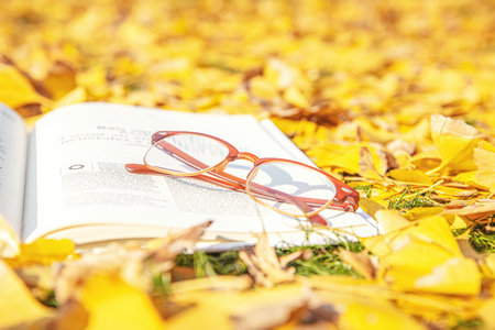 上海理工大學MEM分數線公布時間 上海理工大學MEM分數線公布時間