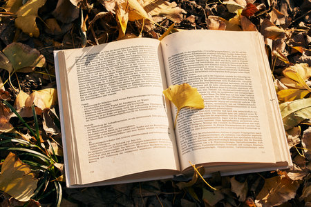 首都師范大學(xué)MPA分?jǐn)?shù)線 首都師范大學(xué)MPA分?jǐn)?shù)線