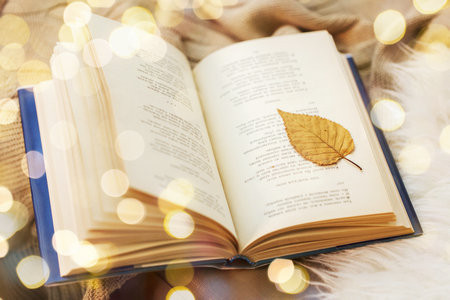 西安石油大學MBA分數線什么時候出？