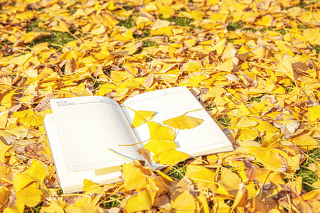 中南林業科技大學MEM調劑時間及流程 中南林業科技大學MEM調劑時間及流程