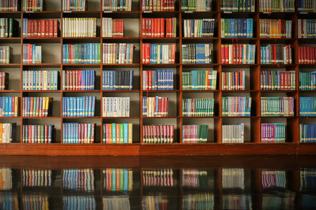 中南林業科技大學MBA每年什么時候調劑 中南林業科技大學MBA每年什么時候調劑