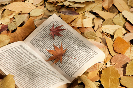 燕山大學MBA調劑 燕山大學MBA調劑