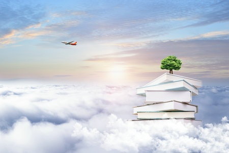 中國石油大學(北京)MEM調(diào)劑 中國石油大學(北京)MEM調(diào)劑