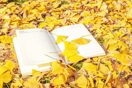 齊魯工業(yè)大學非全日制研究生調(diào)劑時間一般什么時候？