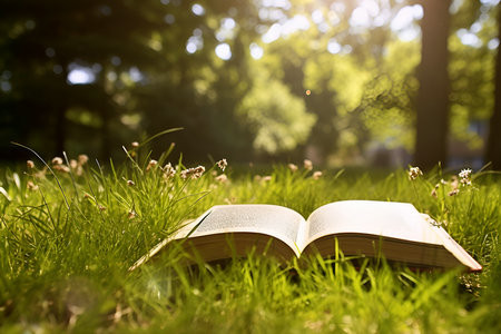 福建農(nóng)林大學MBA什么時候才能開始調(diào)劑？