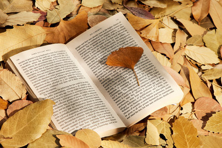 中國(guó)海洋大學(xué)MEM一般幾月份開始調(diào)劑？