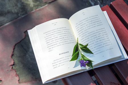 齊齊哈爾大學非全日制研究生調劑技巧 齊齊哈爾大學非全日制研究生調劑技巧