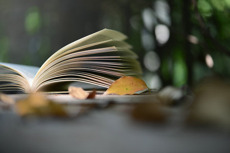 深圳大學MPAcc招生 深圳大學MPAcc招生