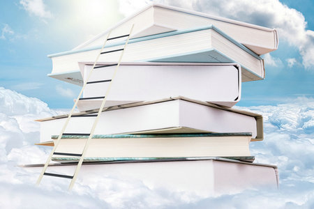 上海財經(jīng)大學MPA招生條件 上海財經(jīng)大學MPA招生條件