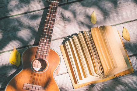 西南財大專業碩士的招生流程 西南財大專業碩士的招生流程