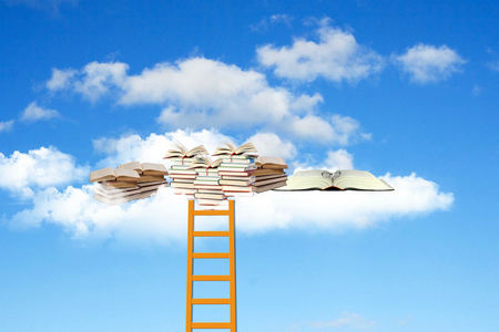 上海財經大學專業(yè)碩士 上海財經大學專業(yè)碩士