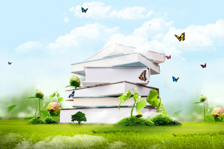 法國布雷斯特商學(xué)院國際博士 法國布雷斯特商學(xué)院國際博士