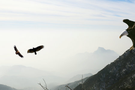 江西地區(qū)非全日制研究生招生院校