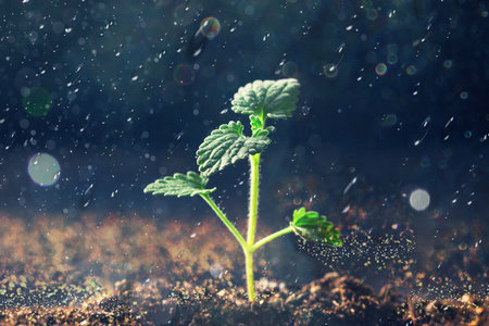 江西在職研究生招生信息 江西在職研究生招生信息