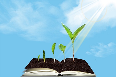 非全日制研究生 非全日制研究生